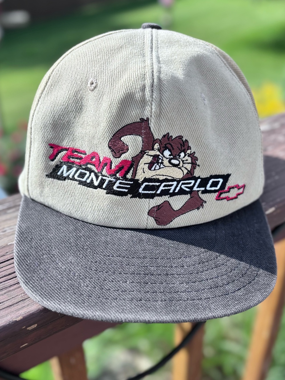 Rare! Vintage Taz Team Monte Carlo NASCAR Thunder Tour Strapback Hat